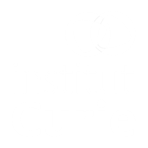 Normen - Institut Curie